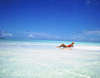 Medhufushi Island Resort 